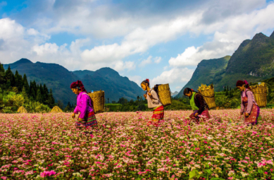 An Giang primary image