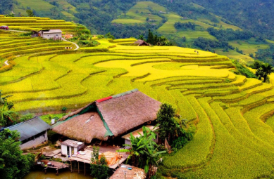 Eximbank donated medical equipment worth 400 million VND to Binh Dan Hospital